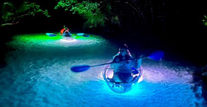 Rainbow Springs: Clear Kayak Sunset & Glow Tour - Who Will Love This Tour?