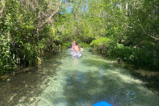 Rainbow Springs Electric Paddle Tour - Location and Itinerary: What to Expect