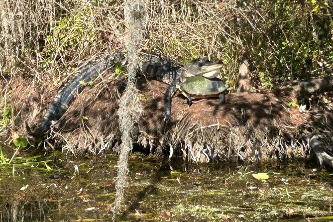 Rainbow Springs Guided Kayak/ Swim/ Snorkel Adventure - Who should consider this tour?