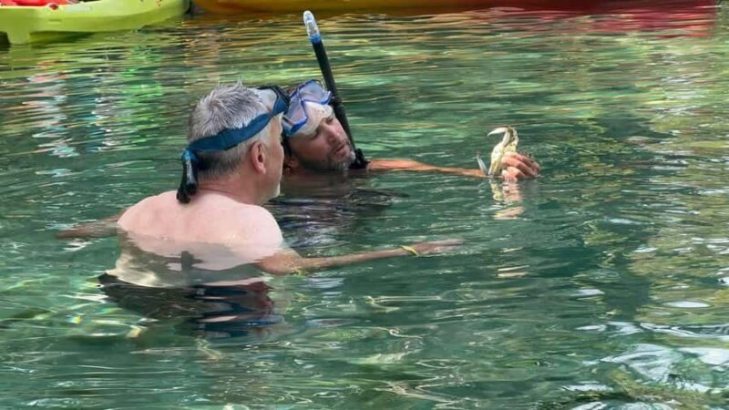 Rainbow Springs: Rainbow River Snorkel & Sightseeing Cruise - Exploring Rainbow River: An Authentic Florida Experience
