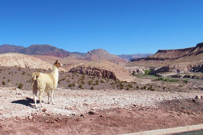 rainbow valley - Key Points