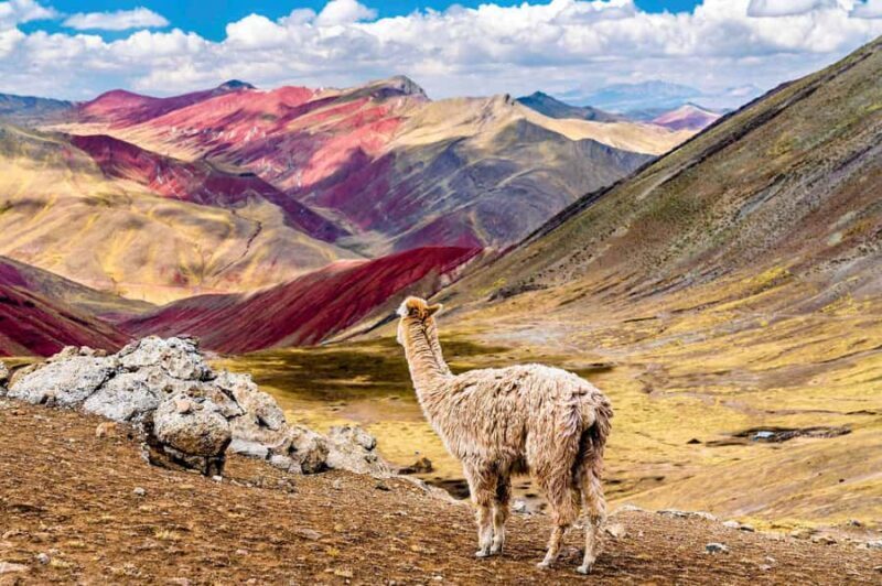 Rainbow Valley: A journey of colors and natural wonders - Key Points