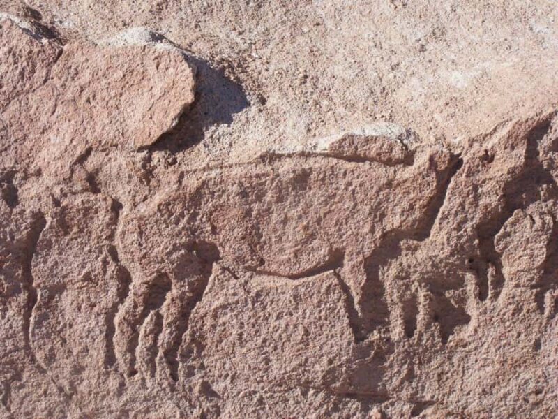 RAINBOW VALLEY - Key Points