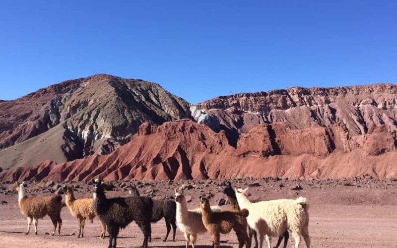 Rainbow Valley Tour + Petroglyphs (Yerbas Buenas) - Exploring the Rainbow Valley and Petroglyphs: An Authentic Atacama Adventure