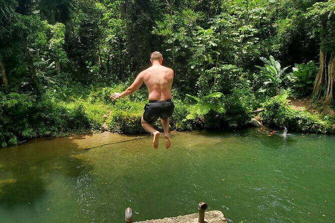 Rainforest and Junglequi Zipline Combo Tour - An In-Depth Look at the Junglequí Rainforest and Zipline Experience