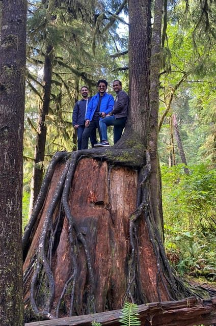 Rainforest and Olympic National Park Highlights - Key Points