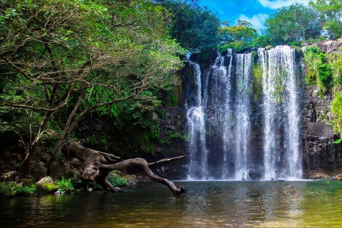 Rainforest and Waterfall Tour with Chocolate and Coffee - Price and Value Analysis