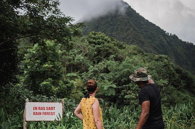 Rainforest Bathing Tour - Frequently Asked Questions