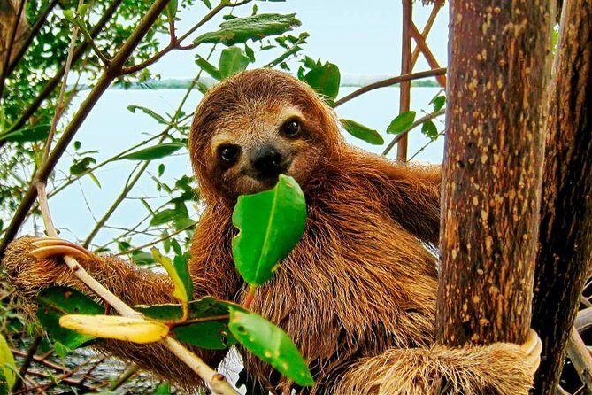 Rainforest Bijagua Ranas Costa Rica Excursions Travels - Exploring Rainforest Bijagua Ranas with Costa Rica Excursions Travels