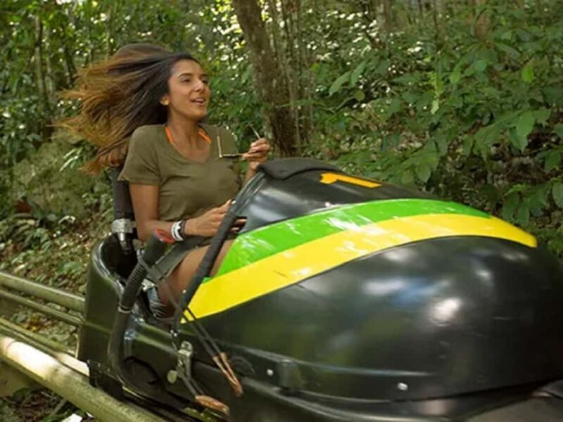 Rainforest Bobsled Mystic Mountain transportation - A Detailed Look at Your Mystic Mountain Bobsled Experience