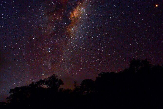 Rainforest Camping in Kudremukh National Park - Rainforest Camping in Kudremukh National Park: A Deep Dive into Karnataka’s Green Heart