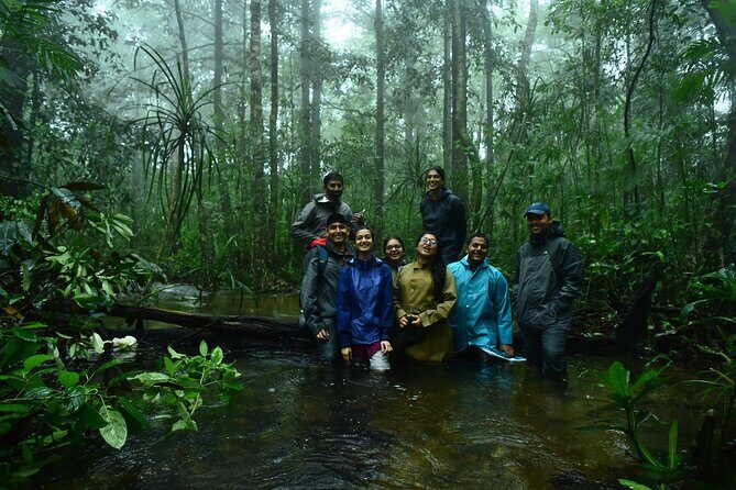 Rainforest Camping in Kudremukh National Park - The Practical Side: Logistics and Considerations