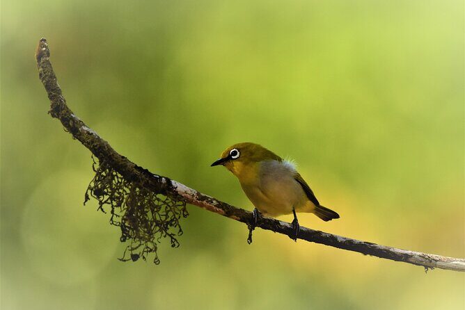 Rainforest Camping in Kudremukh National Park - FAQ