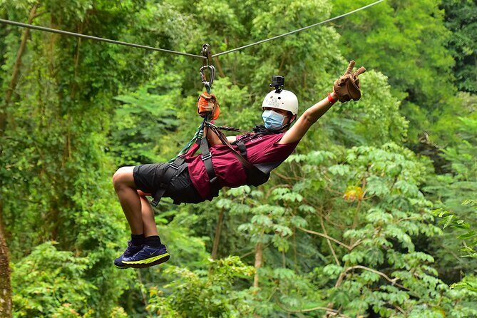 Rainforest Canopy Adventure Pacific - Key Points