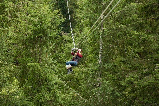 Rainforest Canopy & Zipline Adventure in Ketchikan, AK - Key Points