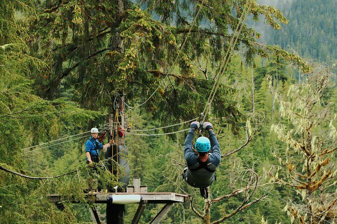 Rainforest Canopy & Zipline Adventure in Ketchikan, AK - An In-Depth Look at the Zipline Adventure