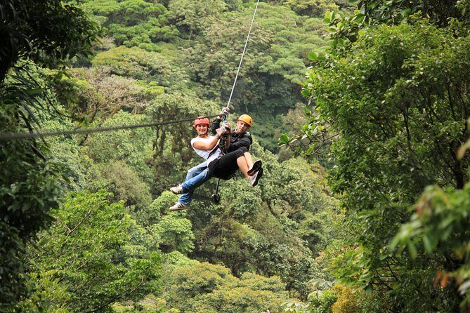 Rainforest Canopy Zipline & Hanging Bridges Tour From Monteverde - Key Points