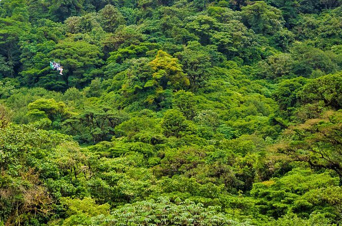 Rainforest Canopy Zipline & Hanging Bridges Tour From Monteverde - Who Should Consider This Tour?