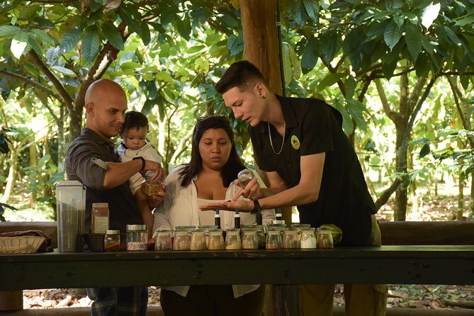 Rainforest Chocolat & La Fortuna Waterfall Adventure - Exploring the La Fortuna Waterfall