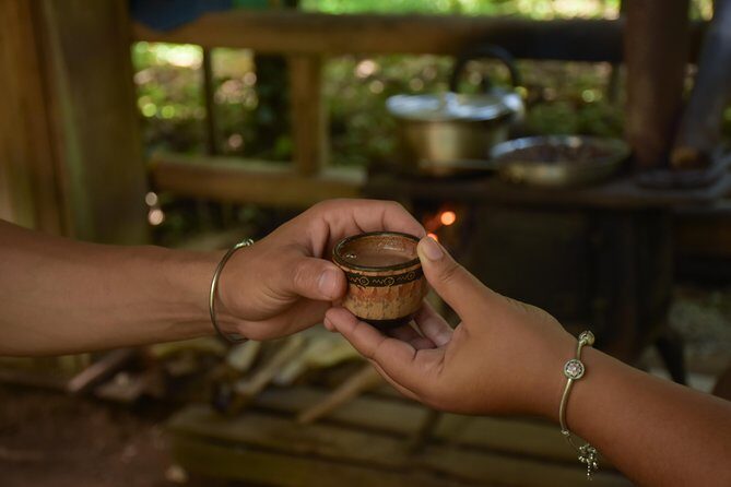 Rainforest Chocolat & La Fortuna Waterfall Adventure - Practical Details and Tips