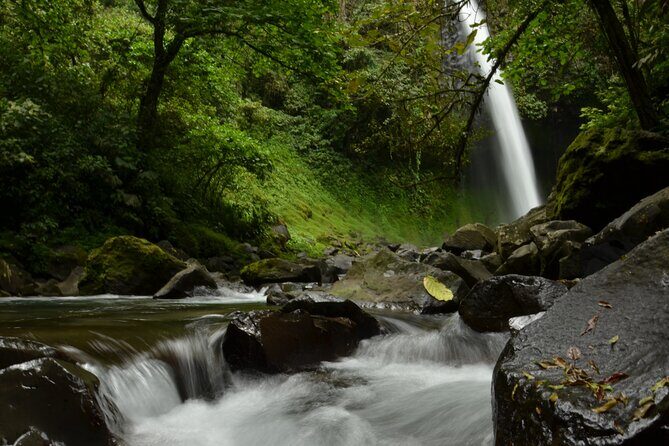 Rainforest Chocolat & La Fortuna Waterfall Adventure - Who Will Love This Tour?