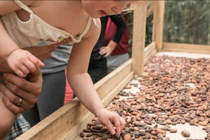 Rainforest Chocolate Tour from La Fortuna - Key Points