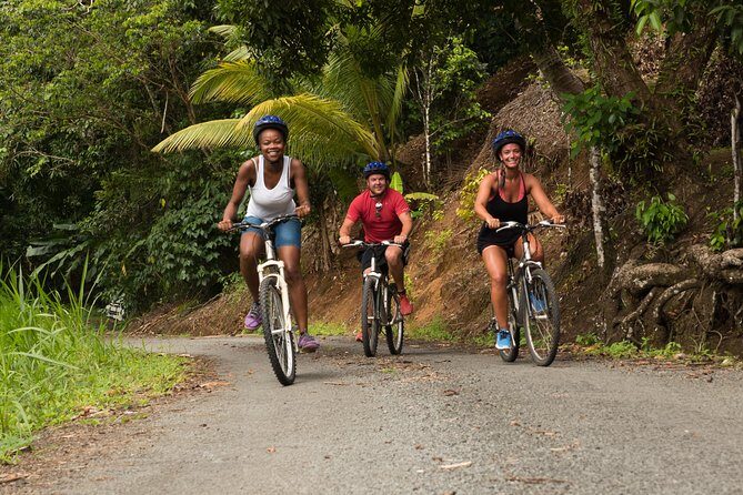 Rainforest Cycling Adventure in St. Lucia - Rainforest Cycling Adventure in St. Lucia: An In-Depth Review