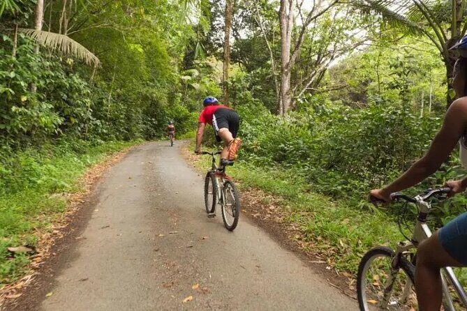 Rainforest Cycling Adventure in St. Lucia - Key Points