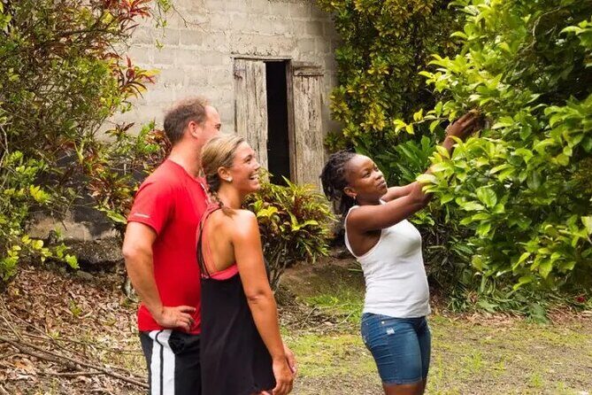 Rainforest Cycling Adventure in St. Lucia - Who Should Consider This Tour?