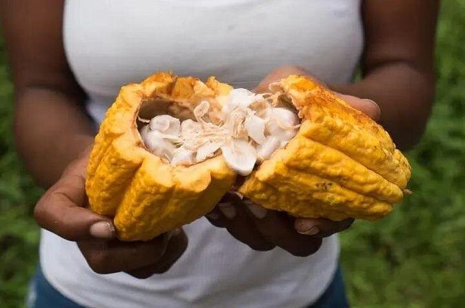 Rainforest Cycling Adventure in St. Lucia - The Sum Up