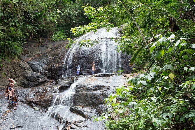 Rainforest Hike and Waterfall Safari - Rainforest Hike and Waterfall Safari: An In-Depth Look