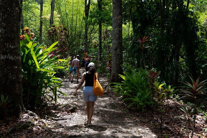 Rainforest Hike and Waterfall Safari - Final Thoughts