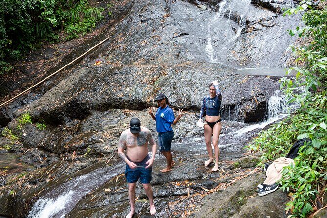 Rainforest Hike and Waterfall Safari - Who Should Book This Tour?