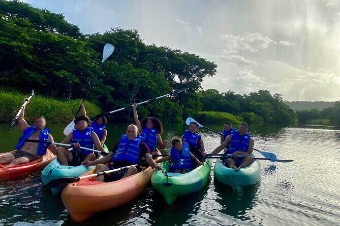 Rainforest Kayak Tour - Explore Puerto Rico’s Green Heart with the Rainforest Kayak Tour