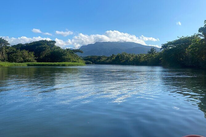 Rainforest Kayak Tour - Key Points