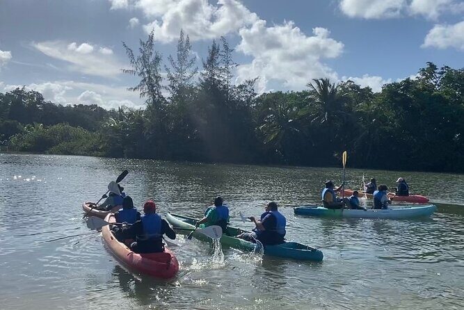 Rainforest Kayak Tour - Final Thoughts
