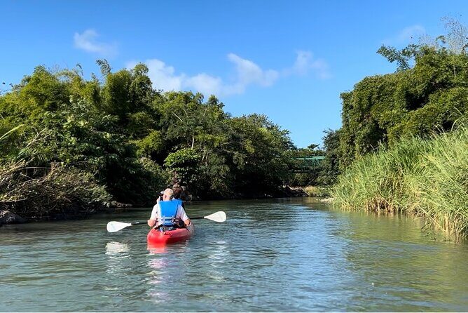Rainforest Kayak Tour - FAQ