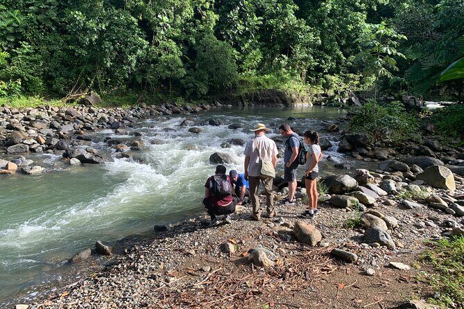 Rainforest Nature Walk & Luquillo Beach Combo - FAQs About the Rainforest Nature Walk & Luquillo Beach Combo