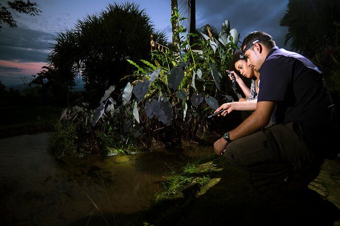 Rainforest Night Walk in La Fortuna with Authentic Dinner - Final Thoughts