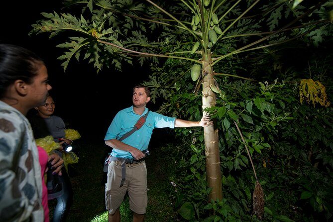 Rainforest Night Walking Tour (Private property) - Key Points