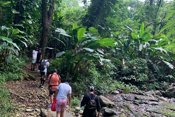 Rainforest River Nature Walk Adventure and Luquillo Beach - Exploring the Itinerary in Detail