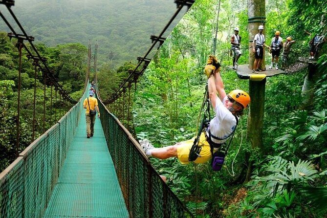Rainforest Skywalk & Zipline Adventure Tour - Key Points