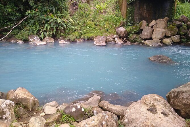 Rainforest-sloths-frogs-hanging toast-mud bath-hotspring - Why This Tour Stands Out