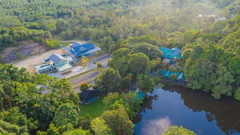 Rainforest Tour, Labuk Bay, Sun Bear & Sepilok | Sandakan - Key Points