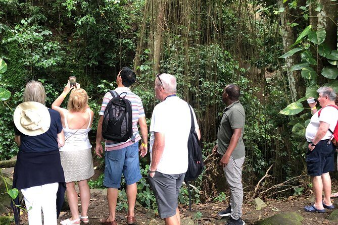 Rainforest Tours in St. Kitts - Rainforest Tours in St. Kitts: A Detailed Review