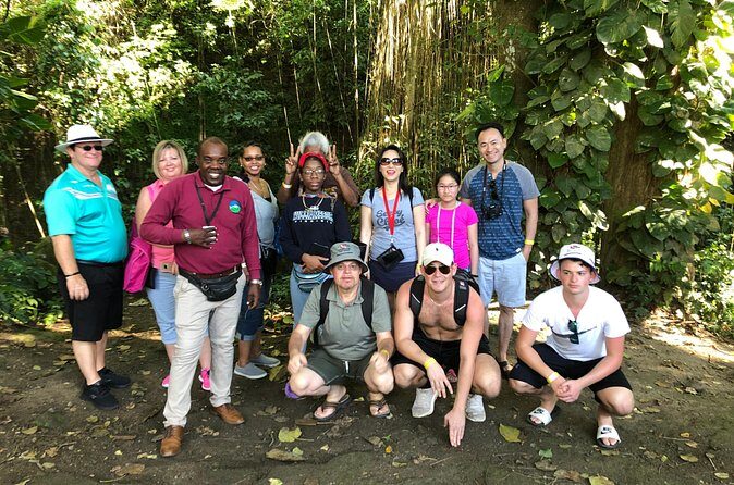 Rainforest Tours in St. Kitts - Key Points