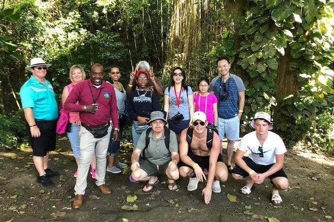Rainforest Tours in St. Kitts - Who Would Love This Tour?