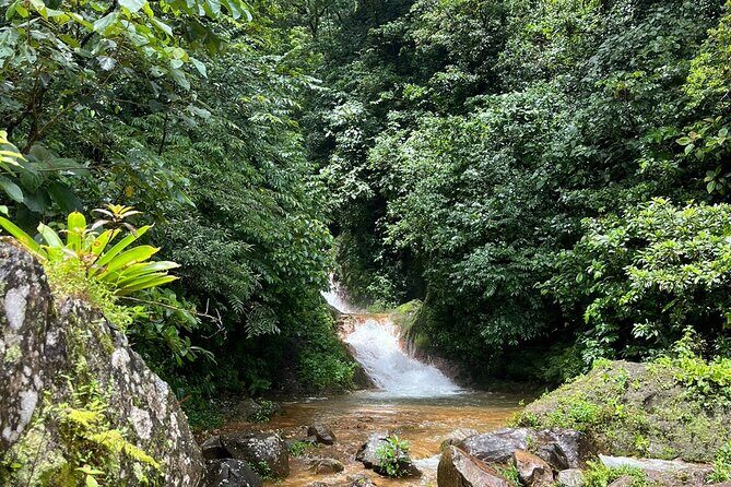 Rainforest Volcano Tour - Authentic, Expert-Led Experiences