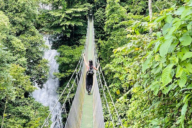 Rainforest Waterfall Hike, Hanging Bridges, and Cultural Lunch in Local Home - Key Points