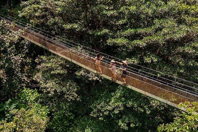 Rainforest Waterfall Hike, Hanging Bridges, and Cultural Lunch in Local Home - Discovering Los Campesinos: A Tropical Treasure